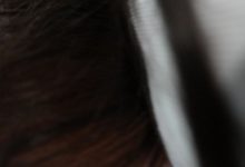 [ROSI写真]2021.01.11 NO.3325[41+1P45M]-套图岛