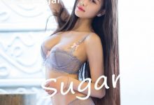 [LeYuan星乐园] 2017.02.15 VOL.028 杨晨晨sugar [51+1P]-套图岛