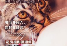 《潘多拉》2016.08.01 第三期-套图岛