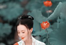 [YITUYU艺图语] 2021.08.16 采莲曲 莲 [31P-280MB]-套图岛