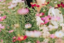 [YITUYU艺图语]2021.09.03 繁花孤影 茶茶[23+1P／280MB]-套图岛