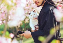 [YITUYU艺图语]2021.09.04 猫侍 邱风[30+1P／311MB]-套图岛