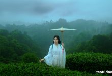 [YITUYU艺图语]2021.12.24 空山灵雨 初茶[26+1P／433MB]-套图岛