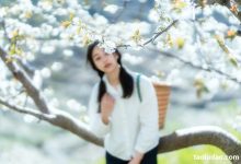 [YITUYU艺图语]2021.12.27 故乡的小燕子 欢欢[35+1P／588MB]-套图岛