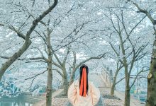 [YITUYU艺图语]2022.02.24 等一场春暖 待一树花开 阿紫[19+1P／235MB]-套图岛