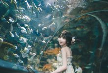 [YITUYU艺图语]2022.04.15 海洋水族馆 丸子[20+1P／413MB]-套图岛