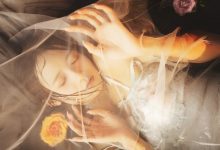 兔子Zzz不吃胡萝卜 - NO.46 梦莲 [30P-377MB]-套图岛