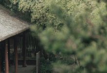 [YITUYU艺图语]2022.07.12 入江南 辛冉[32+1P／356MB]-套图岛