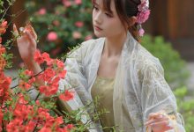 兔子Zzz不吃胡萝卜 - NO.73 宫墙柳 [43P-445MB]-套图岛