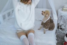 [YITUYU艺图语]2022.12.17 温馨少女与宠物们 兔子Zzz不吃胡萝卜[23+1P／371MB]-套图岛