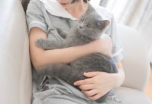 [轻兰映画]SPL.014[110P／875MB]-套图岛