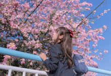 萌芽儿 - NO.26 异木棉花 [27P-436MB]-套图岛