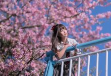 萌芽儿 -  异木棉花 [27P-436MB]-套图岛