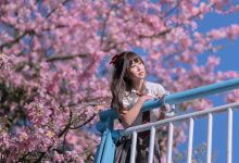 [YITUYU艺图语]2023.02.19 异木棉花 萌芽儿o0[27+1P／442MB]-套图岛