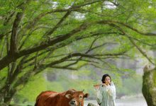 [YITUYU艺图语]2023.02.25 兰芝 锦超[21+1P／277MB]-套图岛