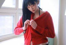 Sula-Christmas present-146P+1V-2.44G]-套图岛