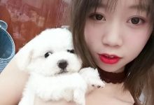 鱼鱼足影 NO.056 - 长沙幼师[26P／59MB]-套图岛