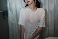 LeeheeExpress LEDG-195B GMS [52P-208MB]-套图岛