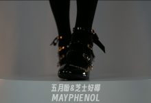 芝士好椰 NO.009  - 简直是难以抗拒的奢华光泽[1V／627MB]-套图岛