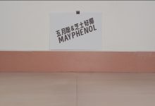 芝士好椰 NO.097 – 听！把麦克风别在鞋上！黑色维莉雅 [MOV-494MB]-套图岛