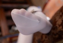 Sayako今年四岁-原神-珐露珊[38P-796MB]-套图岛