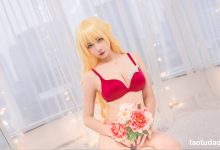 Momoko葵葵 NO.027 The Vagrant (薇薇安) [20P-498MB]-套图岛